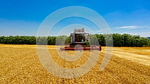 Combine, harvester machine, harvest ripe cereal, wheat