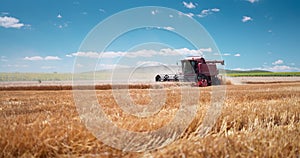 Combine harvester machine harvesting ripe golden wheat field 4K videogriculture landscape