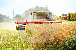 Combine harvester machine harvesting ripe wheat crop