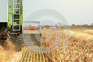 Combine harvester machine harvesting ripe wheat crops