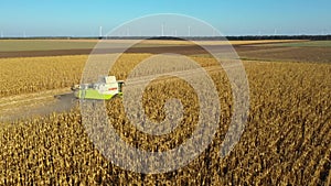 Combine harvester machine reaping golden ripe wheat cereal field bright summer day.