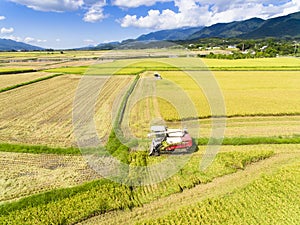 Combine harvester machine with rice farm
