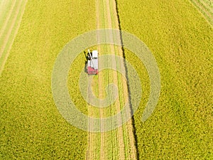 Combine harvester machine with rice farm