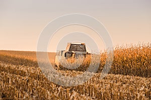 Combine harvester in maize field