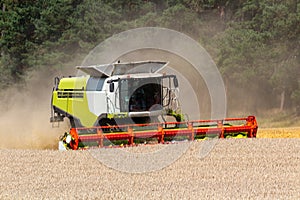 Combine, harvester mowing wheat field. Agriculture vehicle working