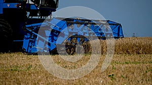 A combine harvester mows ripe wheat in the field. Grain harvesting