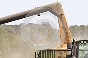 Combine harvester offloading grain