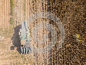 Combine harvester picking seed from fields, aerial view of a field with a combine harvester with cornhusker gathering the crop