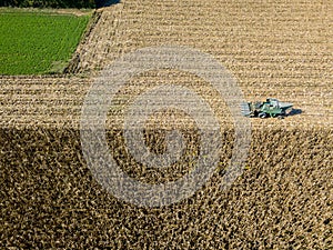 Combine harvester picking seed from fields, aerial view of a field with a combine harvester with cornhusker gathering the crop