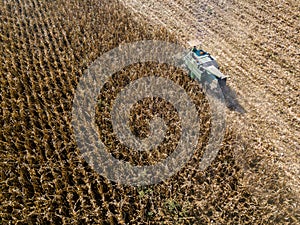 Combine harvester picking seed from fields, aerial view of a field with a combine harvester with cornhusker gathering the crop