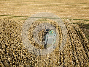 Combine harvester picking seed from fields, aerial view of a field with a combine harvester with cornhusker gathering the crop