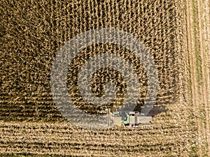 Combine harvester picking seed from fields, aerial view of a field with a combine harvester with cornhusker gathering the crop photo