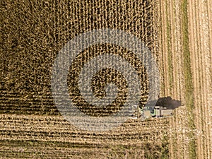 Combine harvester picking seed from fields, aerial view of a field with a combine harvester with cornhusker gathering the crop