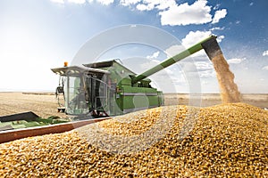 Unloading corn maize seeds