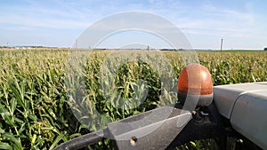 a combine harvester reaps a field of corn. corn harvest. corn grinding