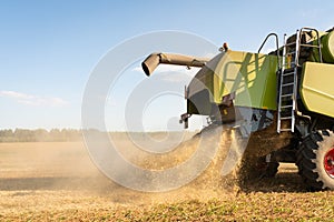 The combine harvester removes ripe wheat. Agricultural work, harvesting grain in the field.