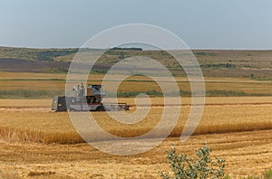 The combine harvester removes wheat fields.