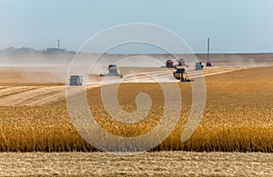 The combine harvester removes wheat fields.