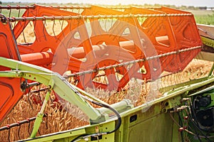 Combine harvester revolving reel harvesting wheat crops