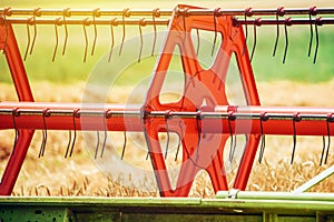 Combine harvester revolving reel harvesting wheat crops