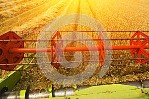 Combine harvester revolving reel harvesting wheat crops photo