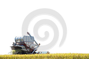 Combine harvester on rice field .
