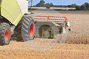 A combine harvester splitting the wheat