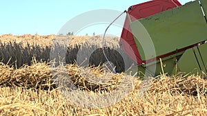 Combine harvester thresh grain cereal in farmland at summer. 4K