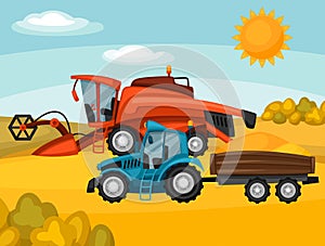 Combine harvester and tractor on wheat field. Agricultural illustration farm rural landscape