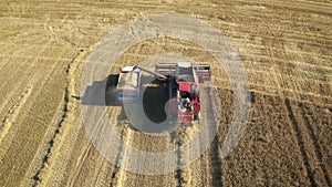 Combine Harvester Unload Collected Grain From Hopper Into The Tractor Trailer