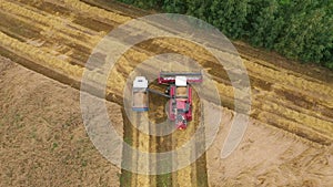 Combine Harvester Unload Collected Grain From Hopper Into The Tractor Trailer