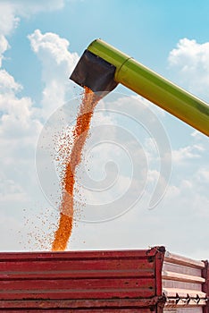 Combine harvester unloader pouring corn grains into tractor cargo cart