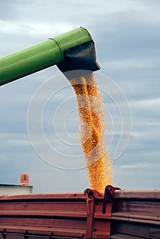 Combine harvester unloading grains