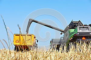 Combine harvester unloading wheat into a trailer