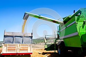 Combine harvester unloading wheat in truck