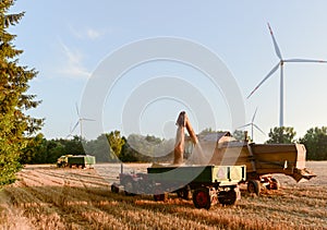 Combine harvester unloads wheat grain