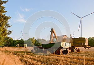 Combine harvester unloads wheat grain