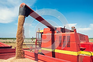 Combine harvester unloads wheat grain into the tractor trailer.