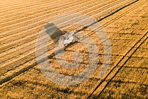 Combine harvester wheat agriculture