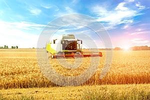 Combine harvester on a wheat field