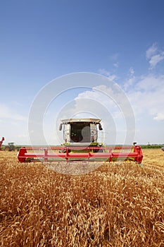 Combine harvester in a wheat field