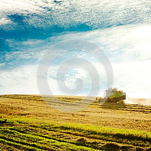 Combine Harvester on a Wheat Field