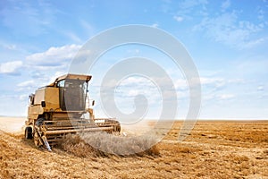 Combine harvester on a wheat field