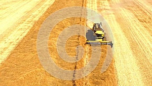 Combine harvester on wheat field.