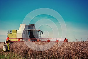 Combine Harvester on a Wheat Field