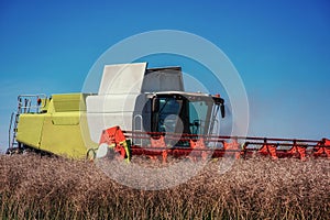 Combine Harvester on a Wheat Field. Agriculture