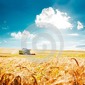 Combine Harvester on a Wheat Field. Agriculture.