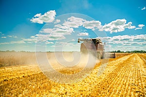 Combine harvester in work