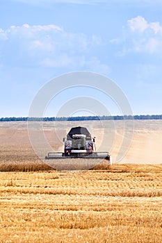 Combine harvester at work in an agricultural field on harvesting wheat, horizontal image, centered