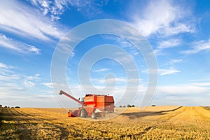 Combine harvester at work